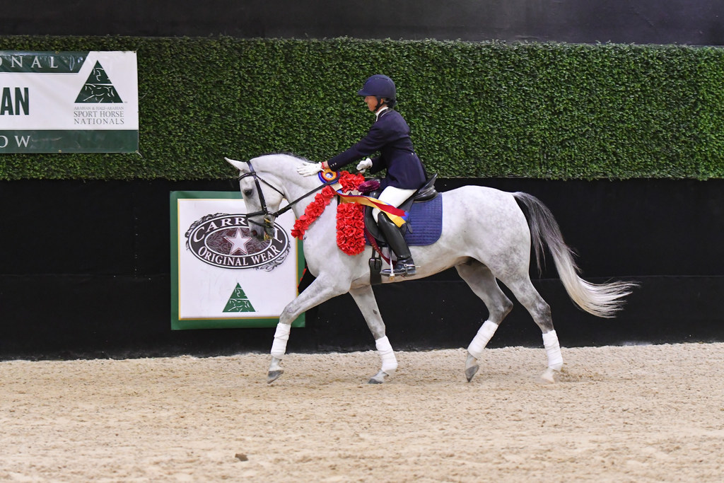 2022 US Sport Horse Nationals Highlights Arabian Horse World