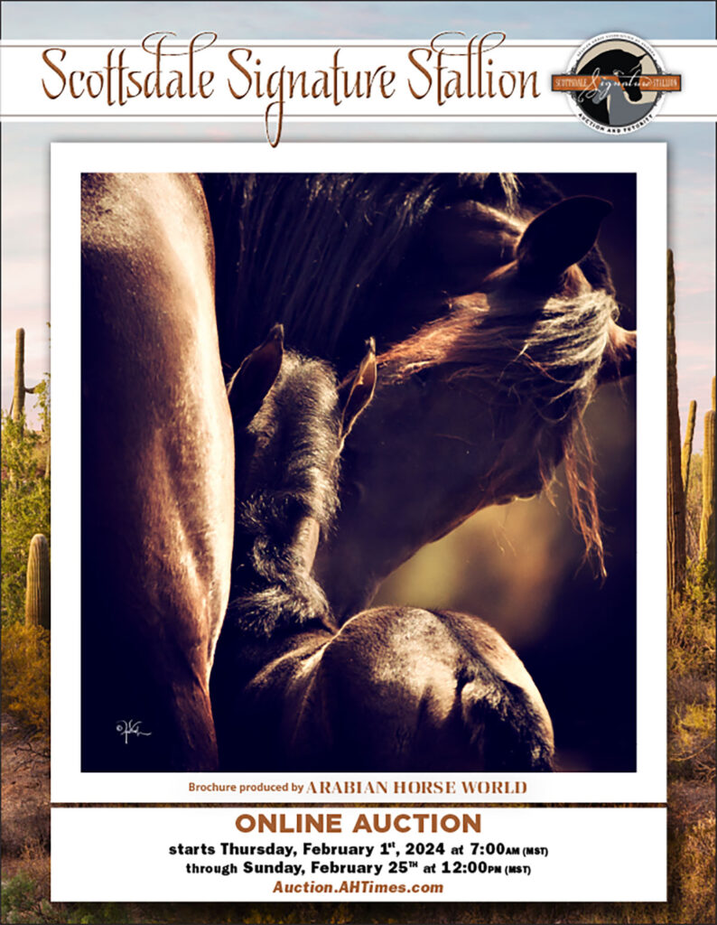 Scottsdale Signature Stallion Brochure and Auction Catalog